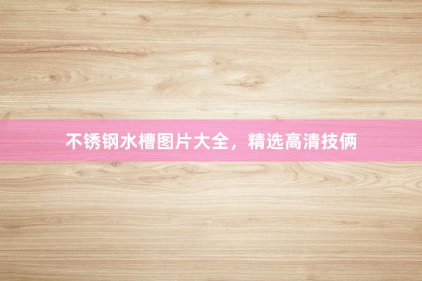 不锈钢水槽图片大全，精选高清技俩