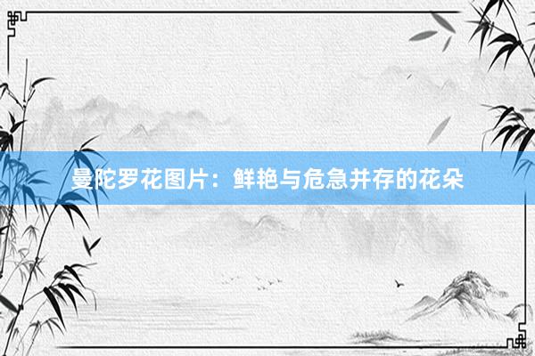 曼陀罗花图片：鲜艳与危急并存的花朵